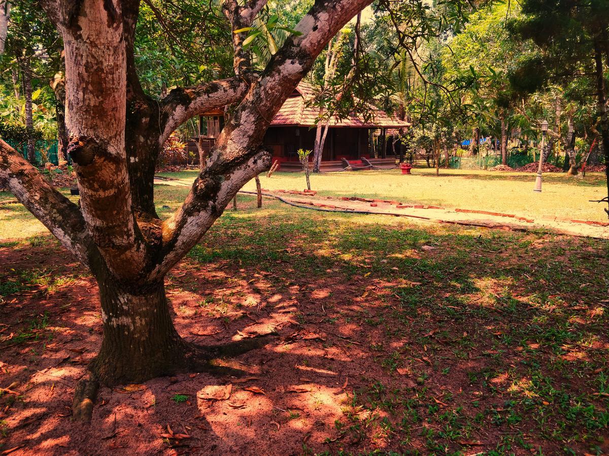 Palathra Heritage Mararikulam Exteriér fotografie